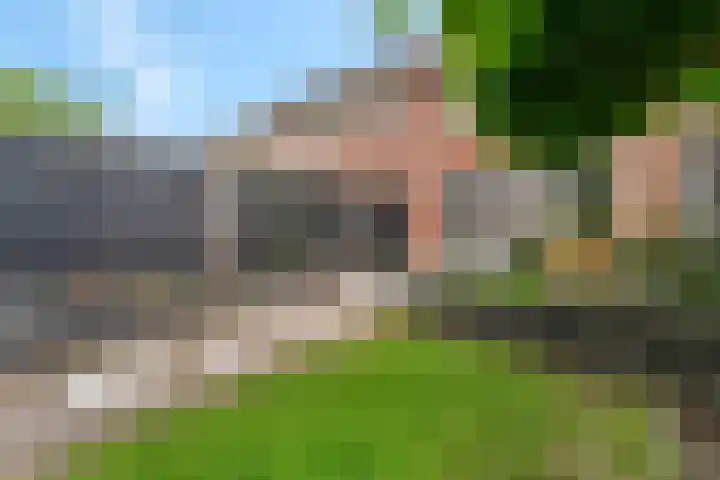Raperbeek 50 Barneveld thumbnail 48