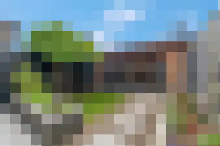 Raperbeek 50 Barneveld thumbnail 49