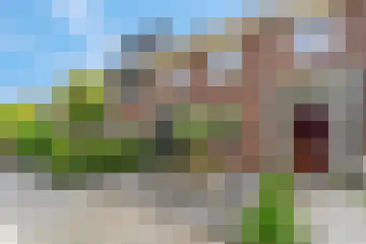Raperbeek 50 Barneveld thumbnail 6