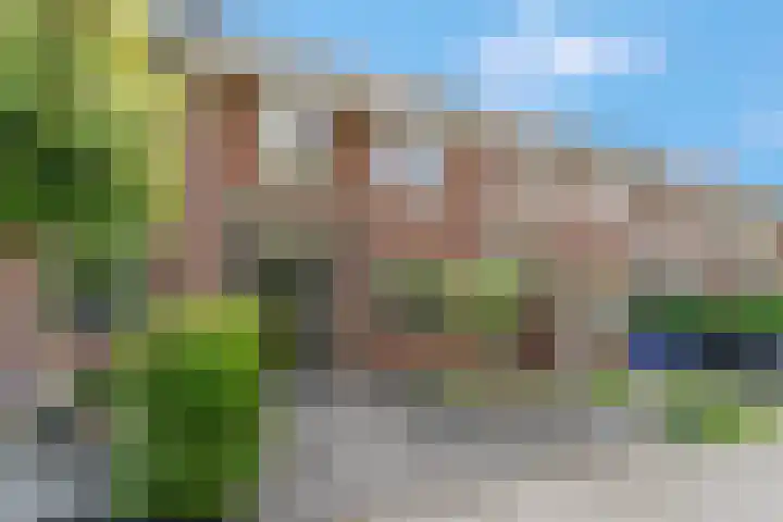 Raperbeek 50 Barneveld thumbnail 7