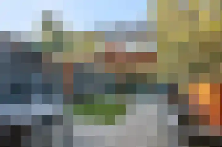 Raperbeek 52 Barneveld thumbnail 4