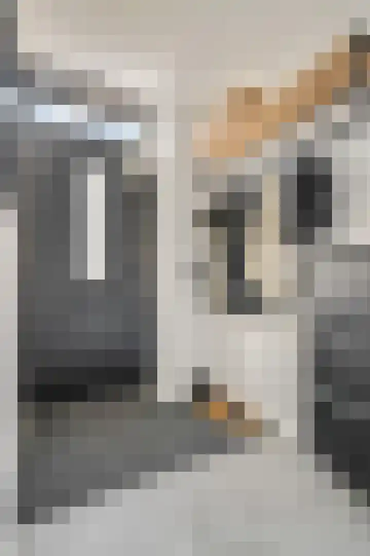 Raperbeek 52 Barneveld thumbnail 8