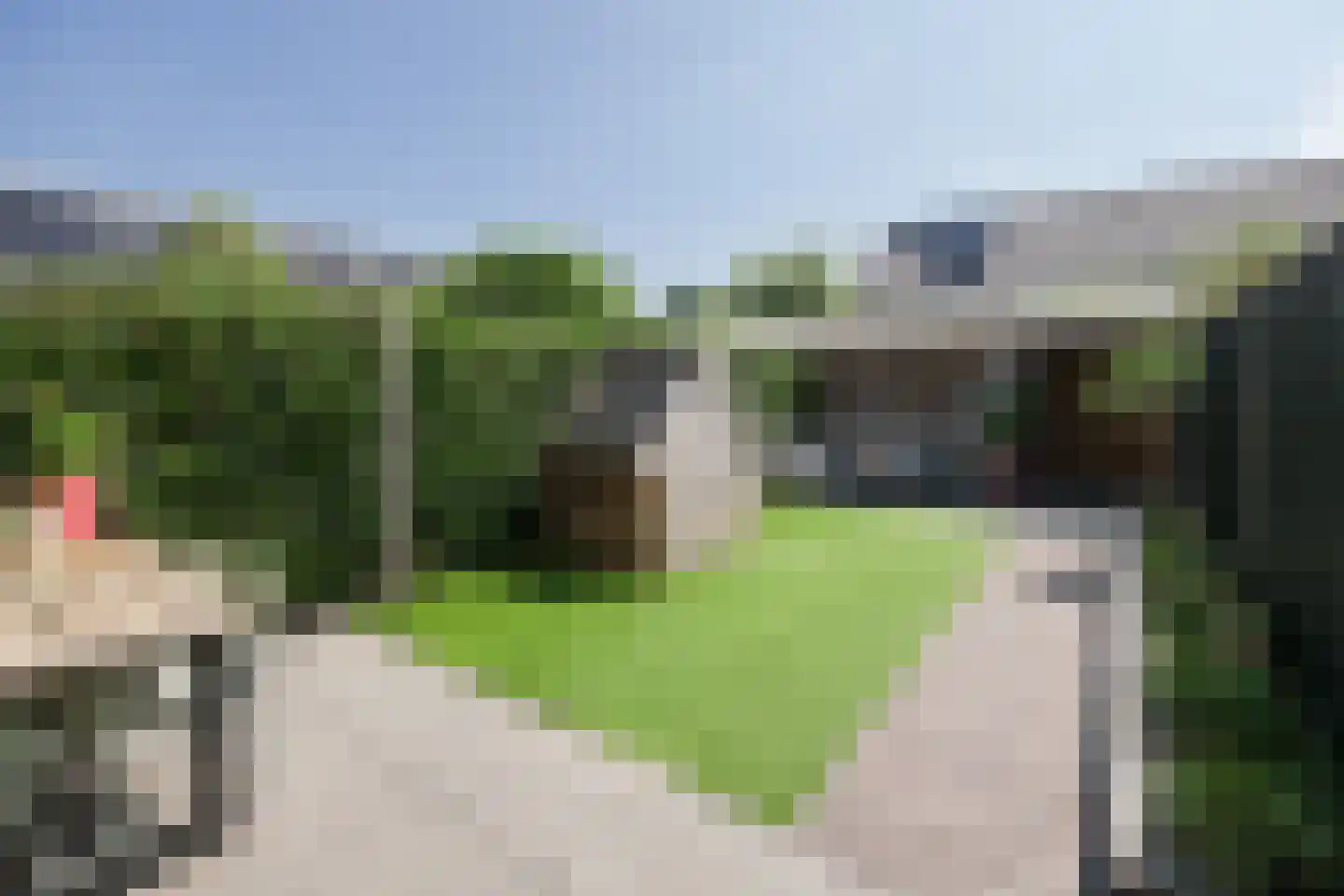 Raperbeek 54 Barneveld thumbnail 30