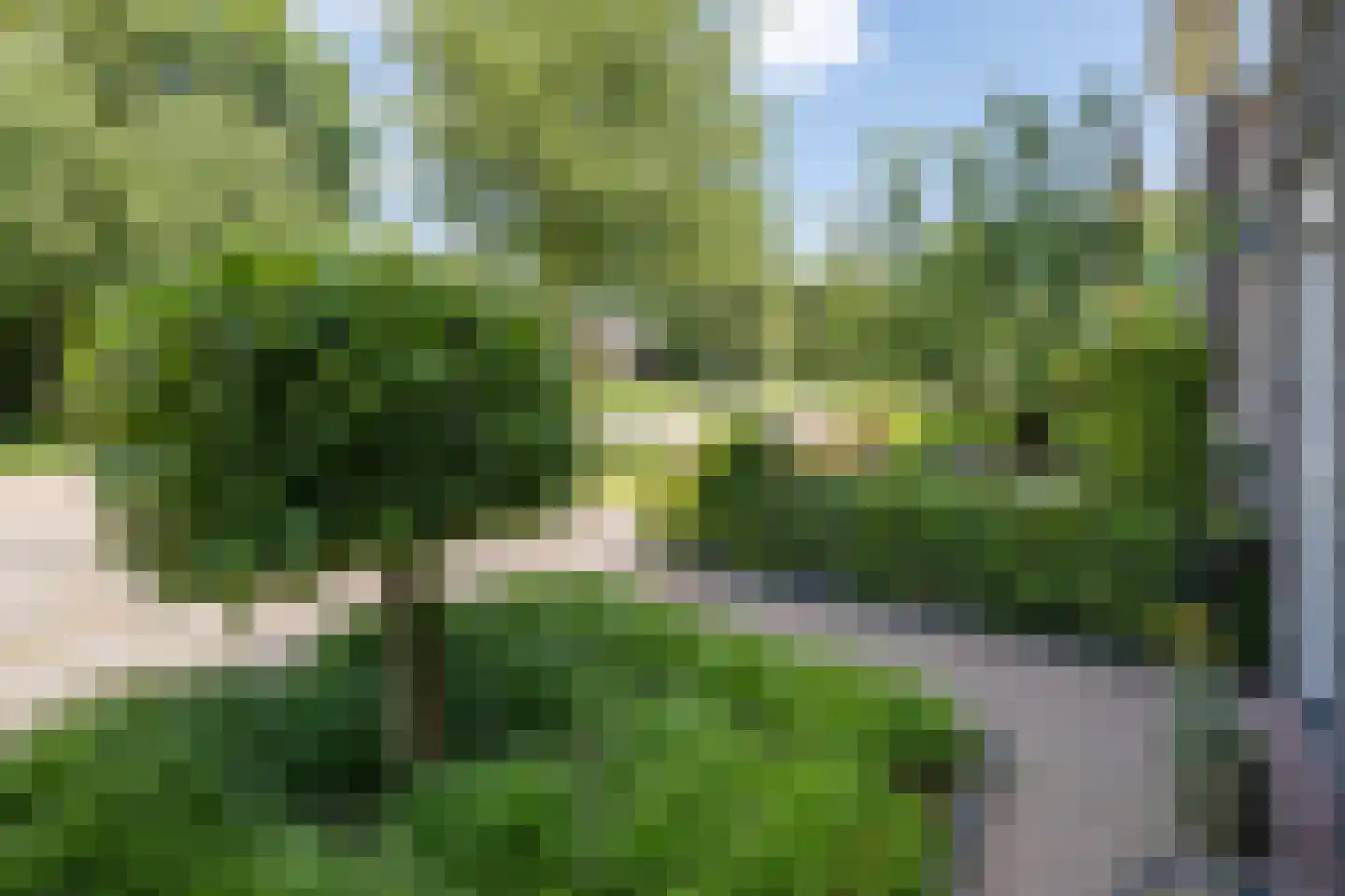 Raperbeek 54 Barneveld thumbnail 36