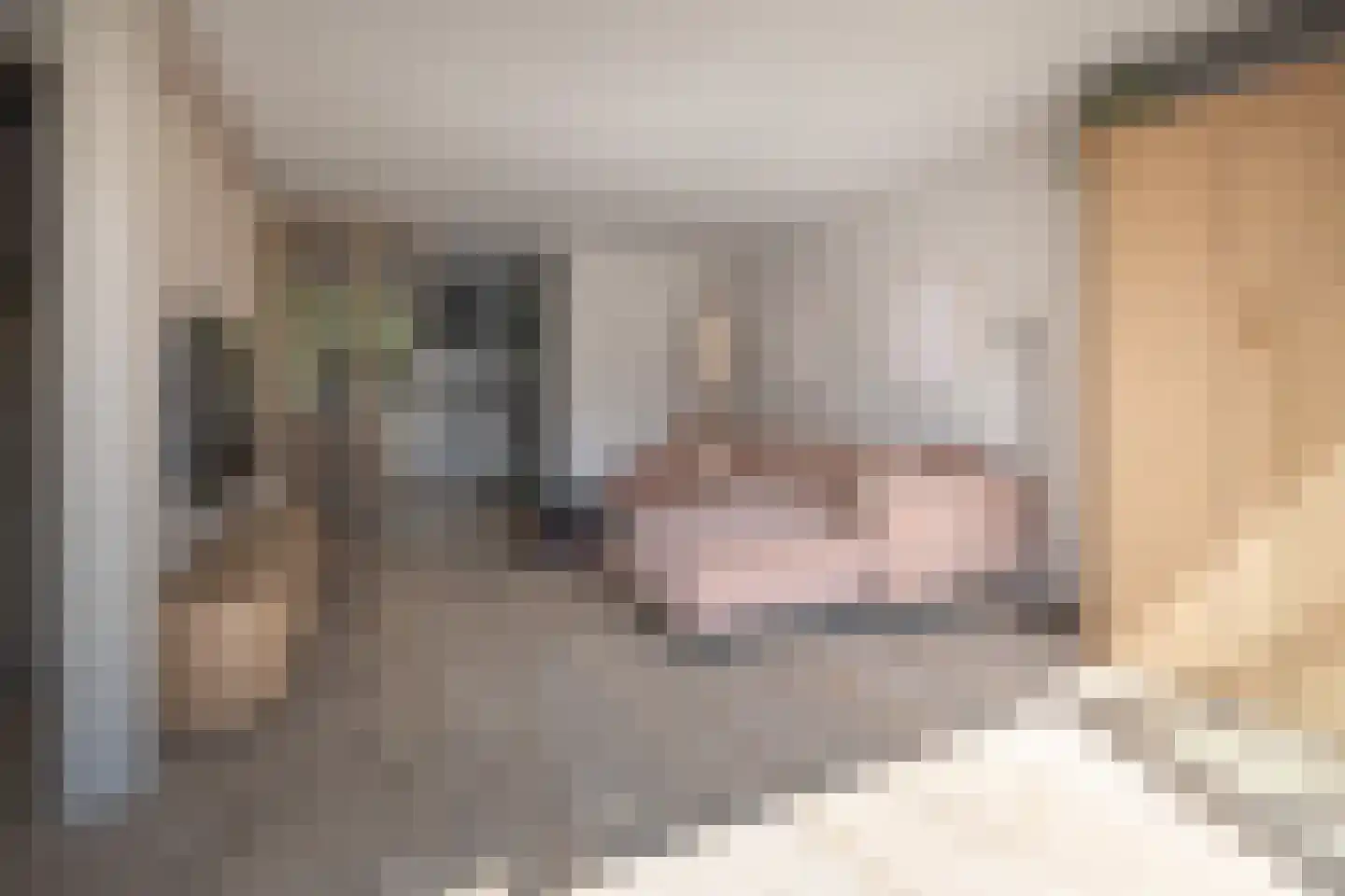 Raperbeek 54 Barneveld thumbnail 5