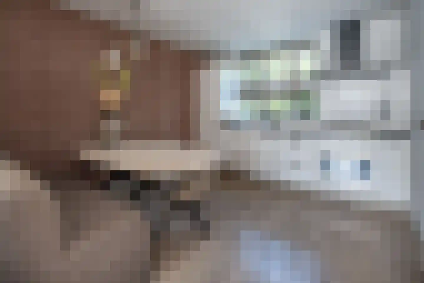 Raperbeek 54 Barneveld thumbnail 8