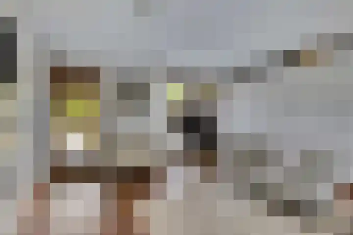 Raperbeek 8 Barneveld thumbnail 10