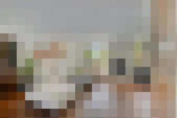Raperbeek 8 Barneveld thumbnail 14