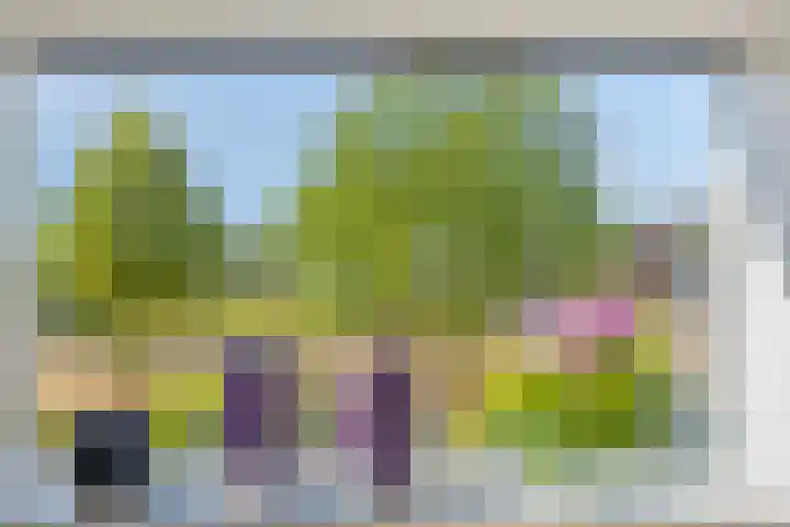 Raperbeek 8 Barneveld thumbnail 17