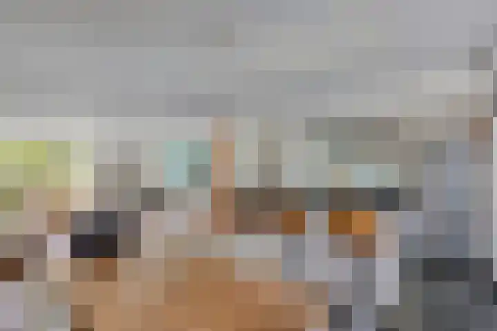 Raperbeek 8 Barneveld thumbnail 19
