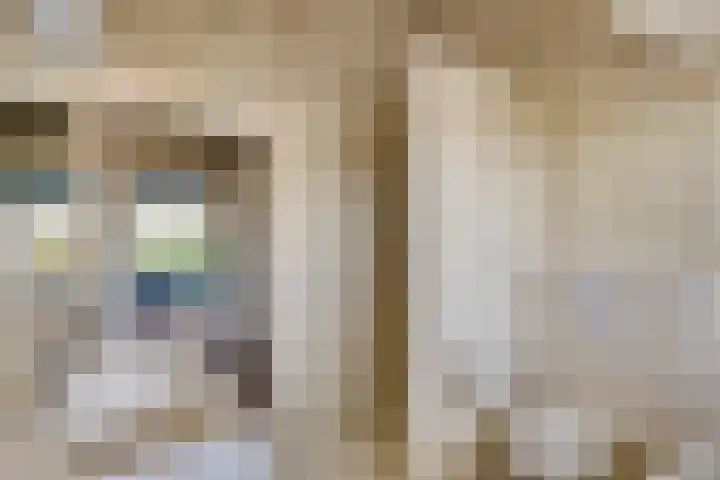 Raperbeek 8 Barneveld thumbnail 31