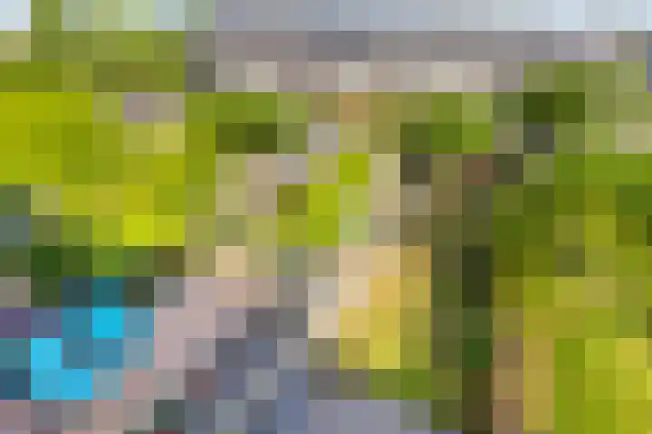 Raperbeek 8 Barneveld thumbnail 32