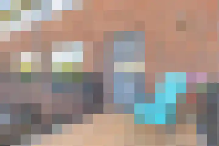 Raperbeek 8 Barneveld thumbnail 34