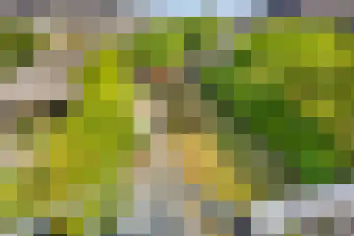 Raperbeek 8 Barneveld thumbnail 35