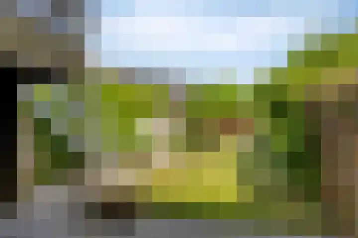 Raperbeek 8 Barneveld thumbnail 36