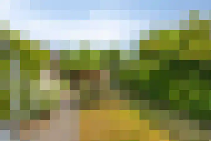 Raperbeek 8 Barneveld thumbnail 37