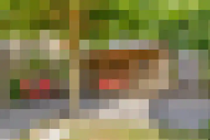 Raperbeek 8 Barneveld thumbnail 38