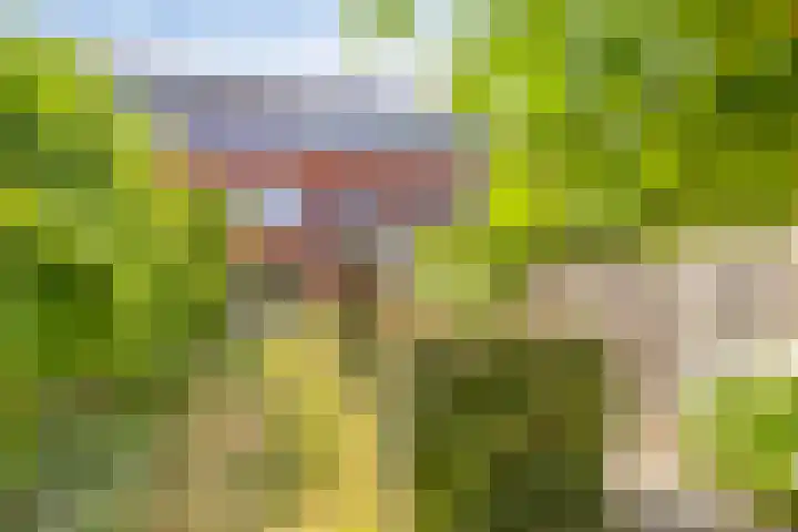 Raperbeek 8 Barneveld thumbnail 39