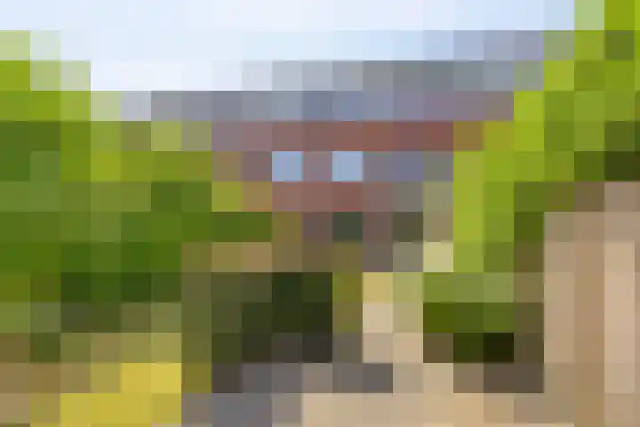 Raperbeek 8 Barneveld thumbnail 40
