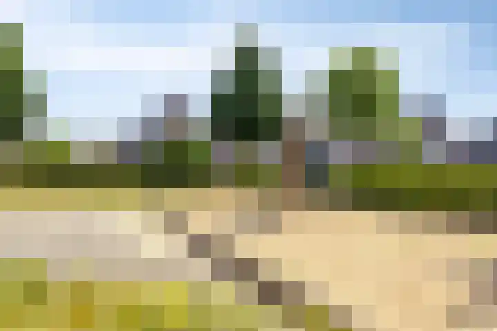 Raperbeek 8 Barneveld thumbnail 41