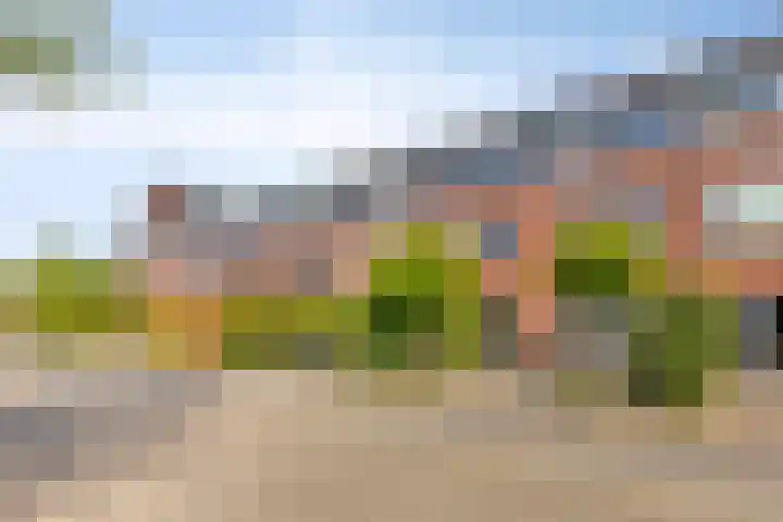 Raperbeek 8 Barneveld thumbnail 6