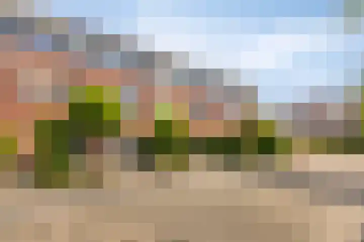 Raperbeek 8 Barneveld thumbnail 7