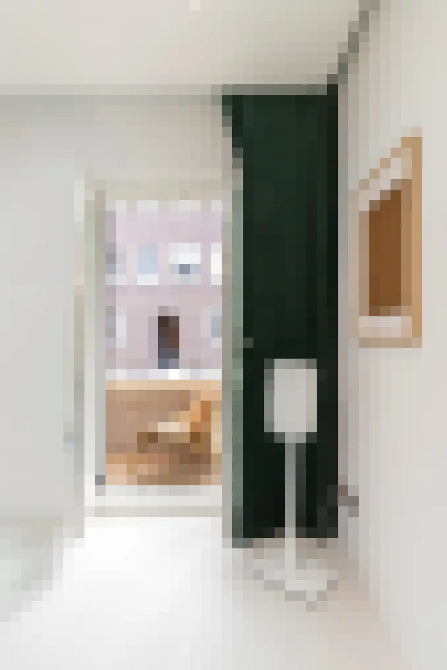 Raphaëlplein 39 Amsterdam thumbnail 59