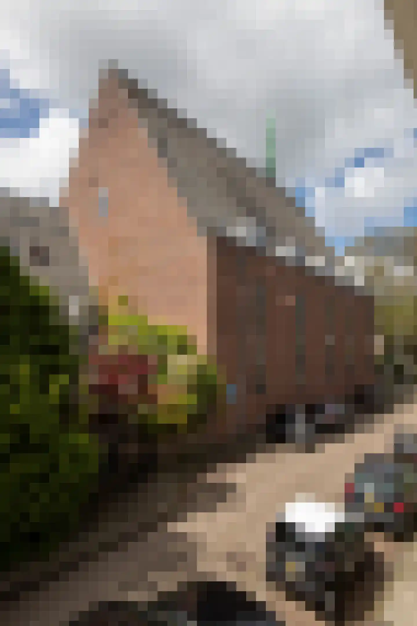 Raphaëlplein 39 Amsterdam thumbnail 69