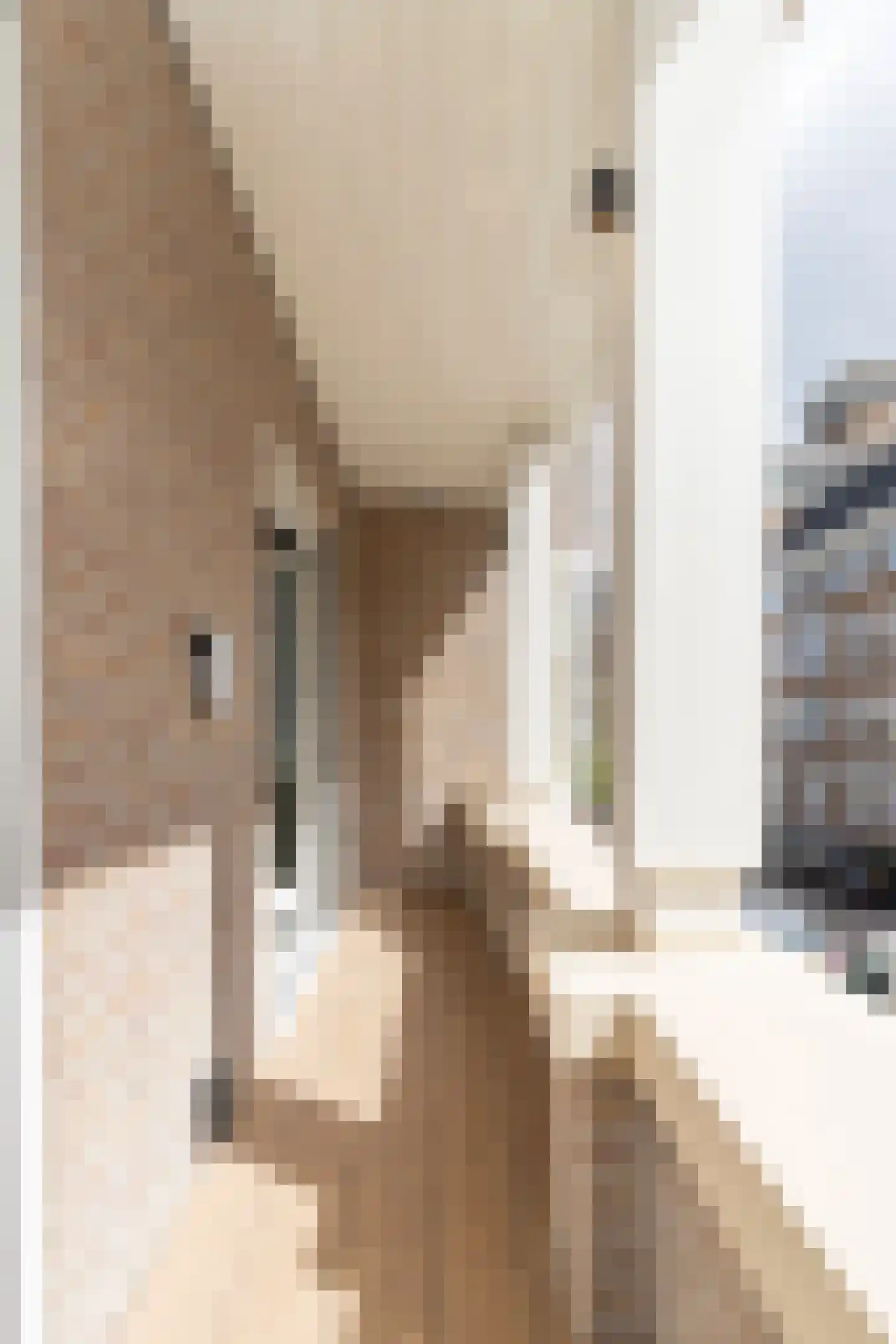 Raphaëlplein 39 Amsterdam thumbnail 70