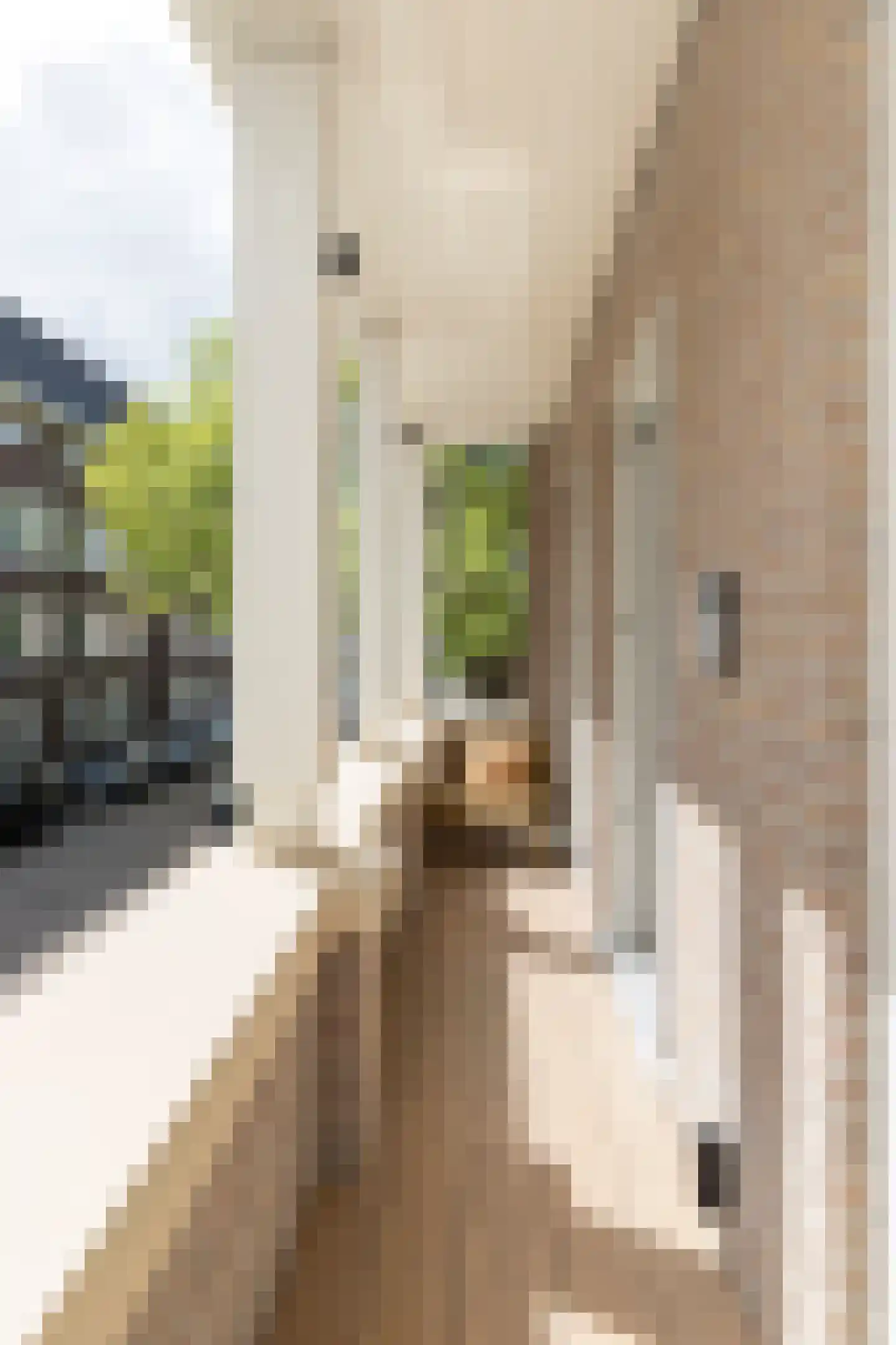 Raphaëlplein 39 Amsterdam thumbnail 71