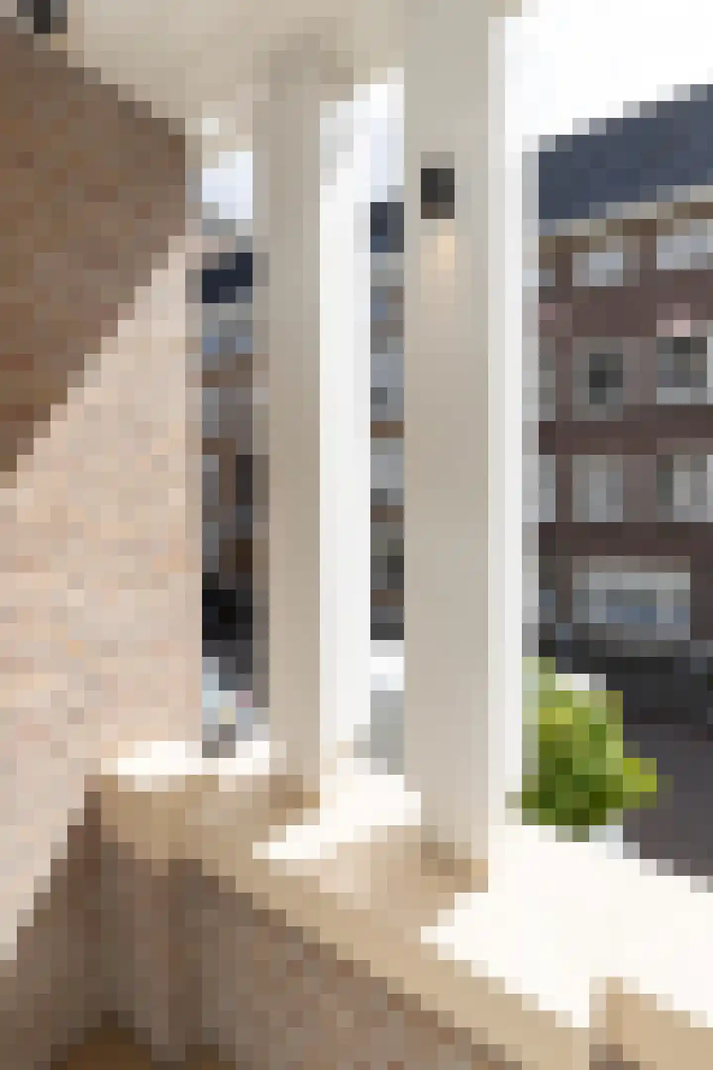 Raphaëlplein 39 Amsterdam thumbnail 72