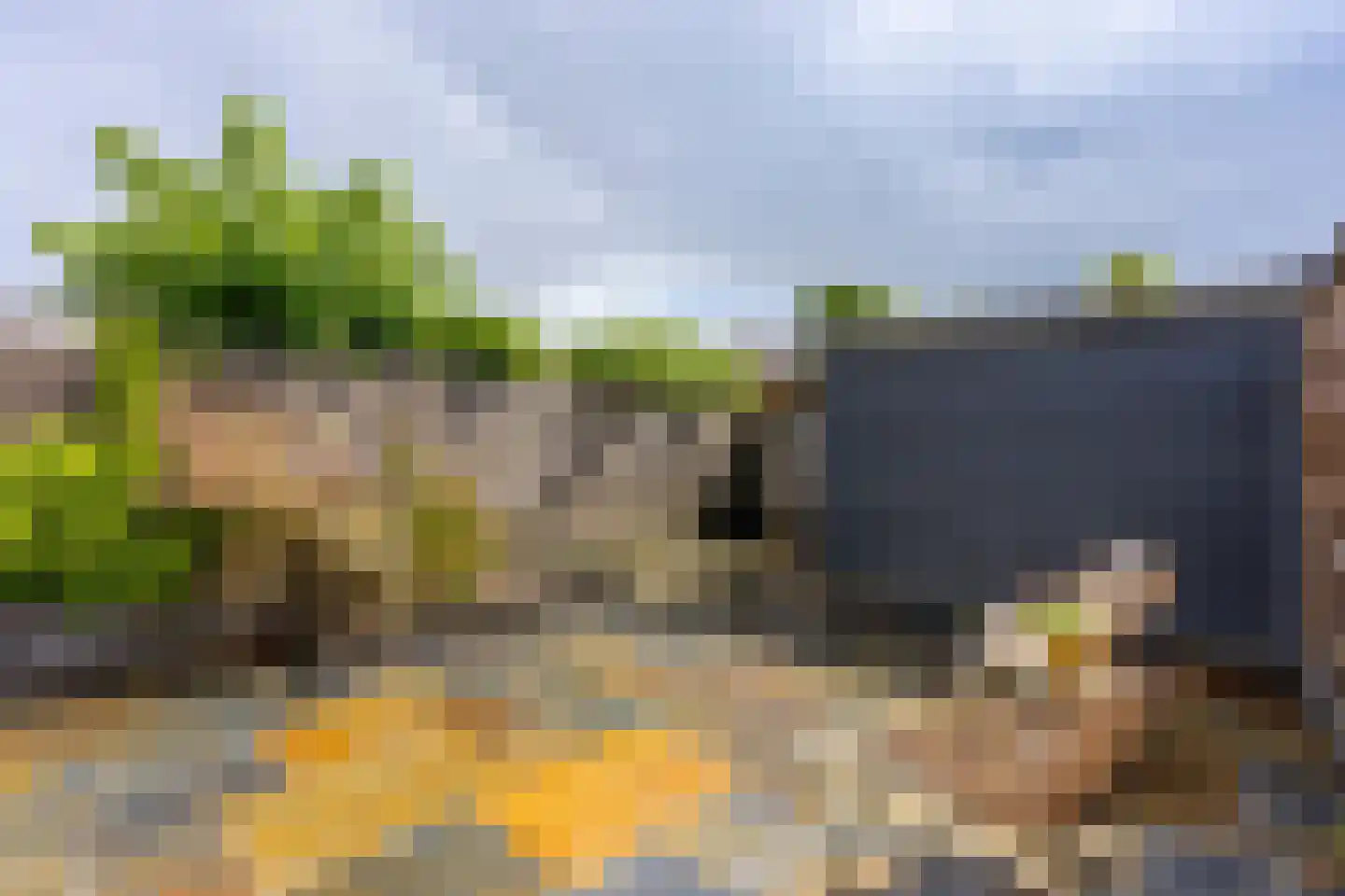 Rapijnenpolder 15 De Meern thumbnail 29