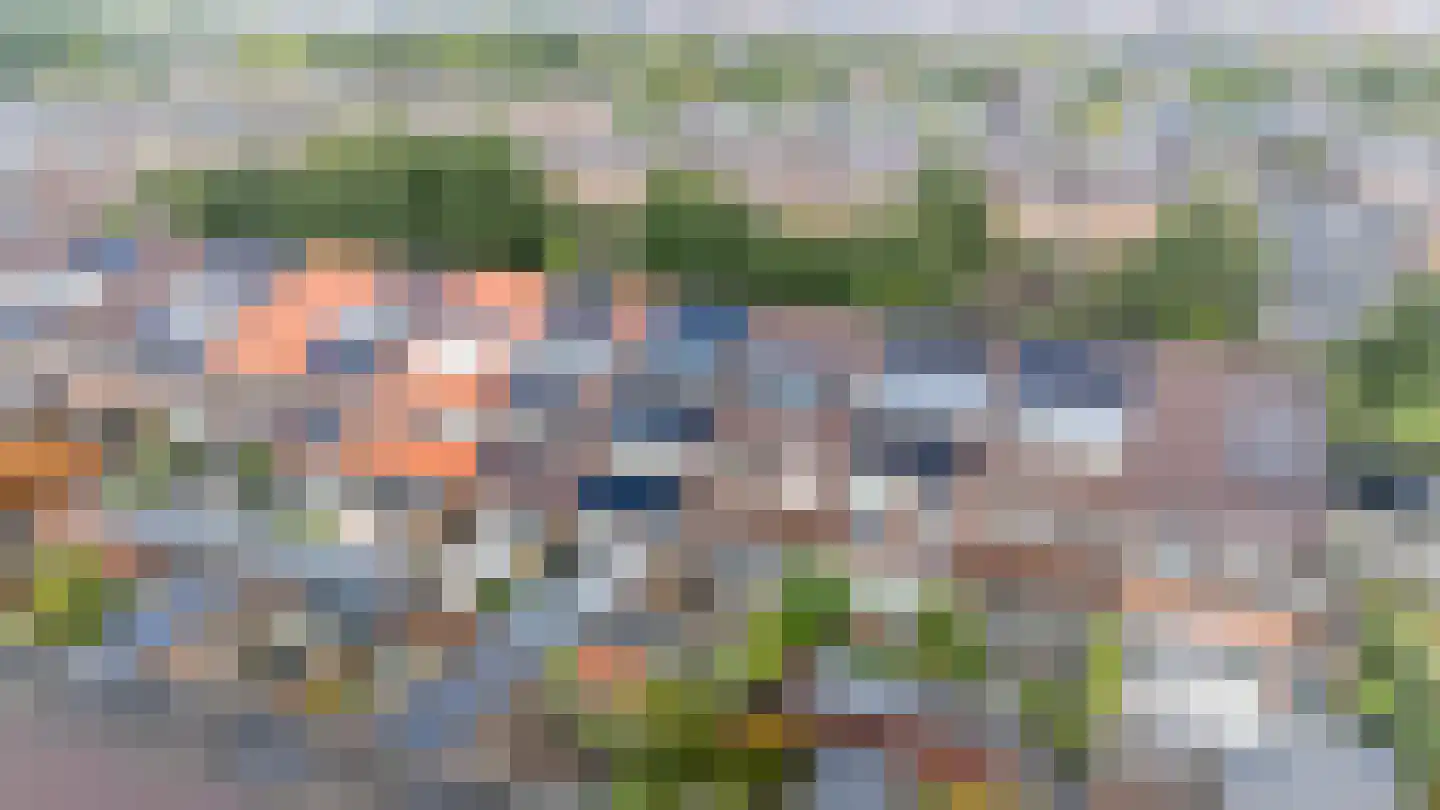Rapijnenpolder 15 De Meern thumbnail 30