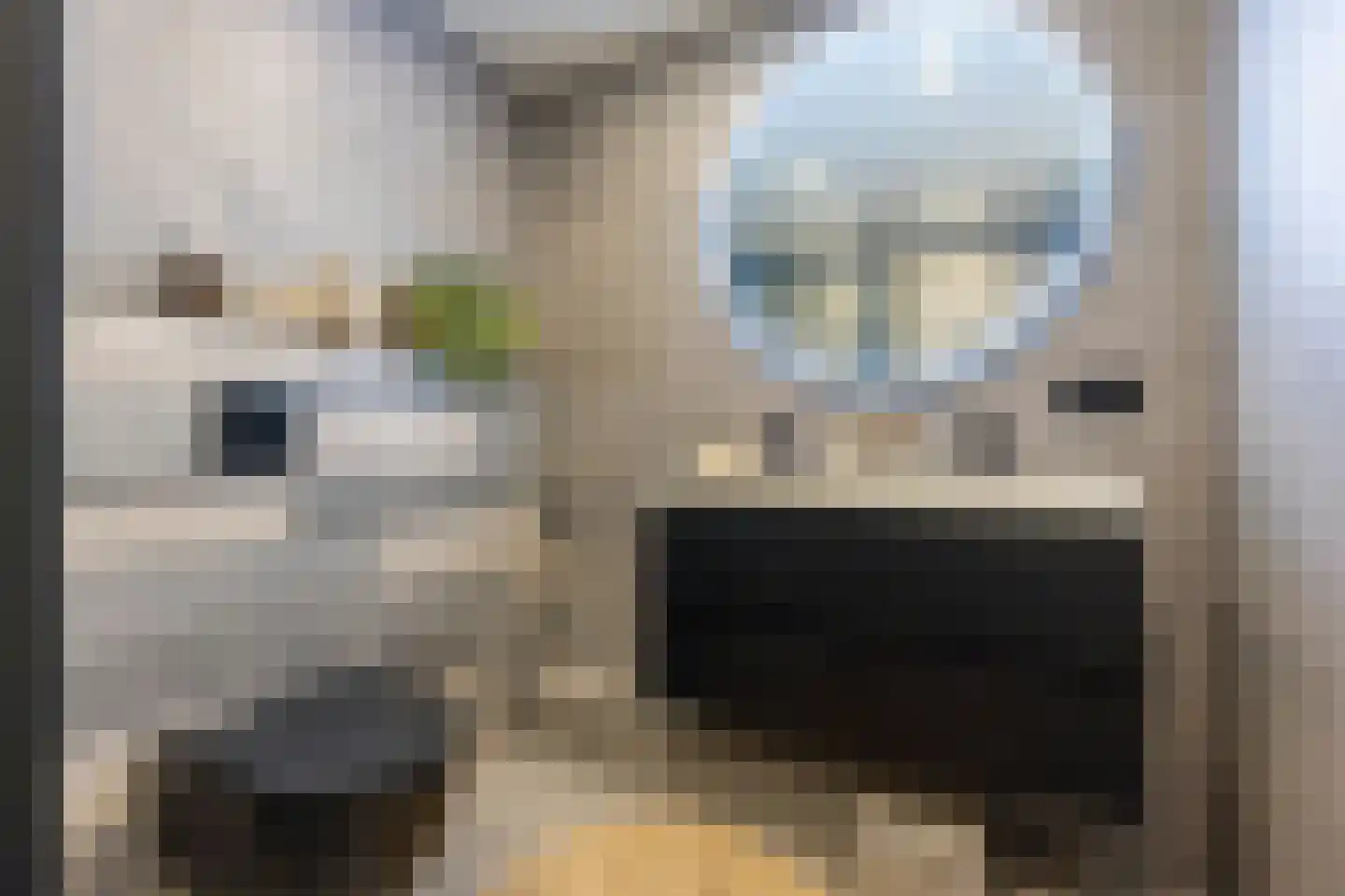 Rapijnenpolder 15 De Meern thumbnail 41