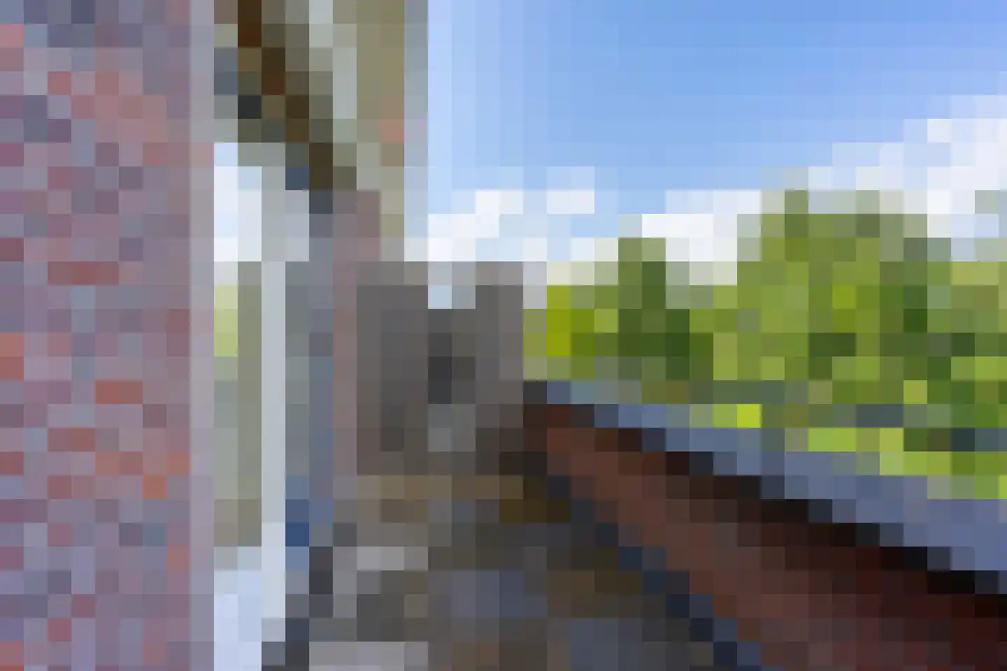 Rapijnenpolder 15 De Meern thumbnail 47