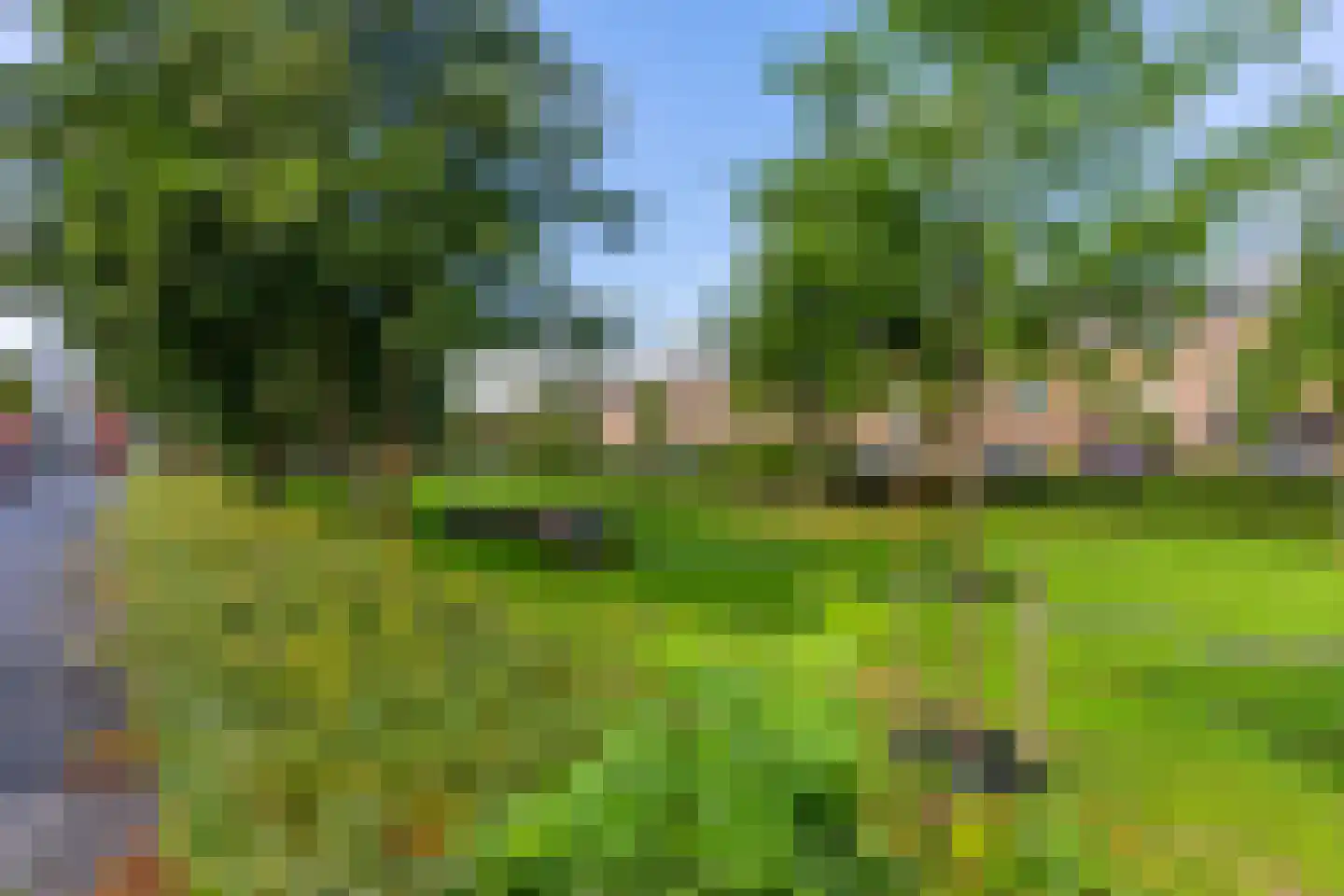Rapijnenpolder 15 De Meern thumbnail 49