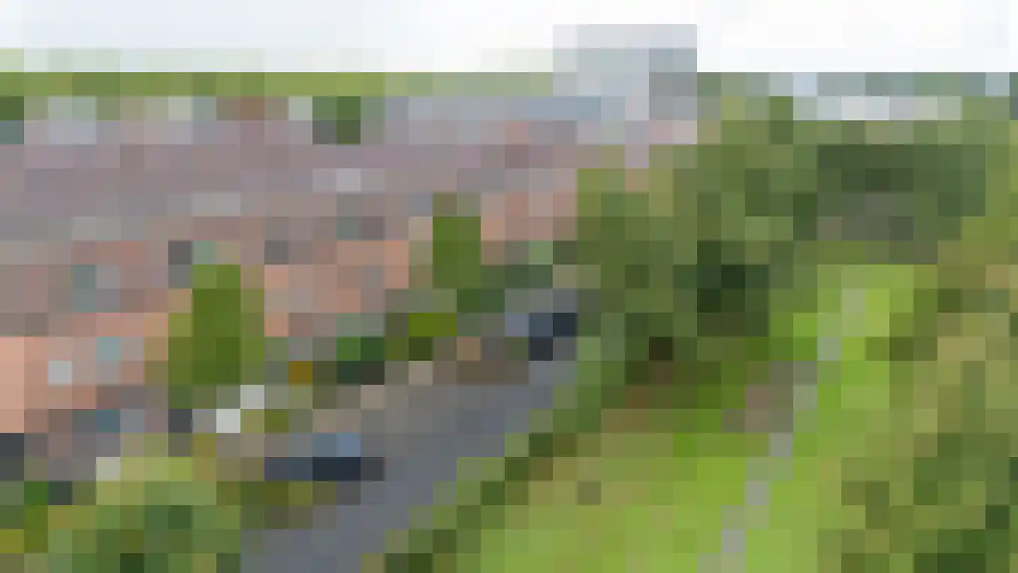 Rapijnenpolder 15 De Meern thumbnail 5