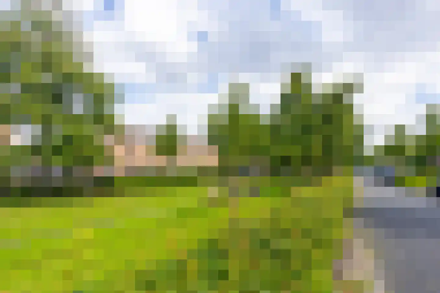 Rapijnenpolder 15 De Meern thumbnail 50