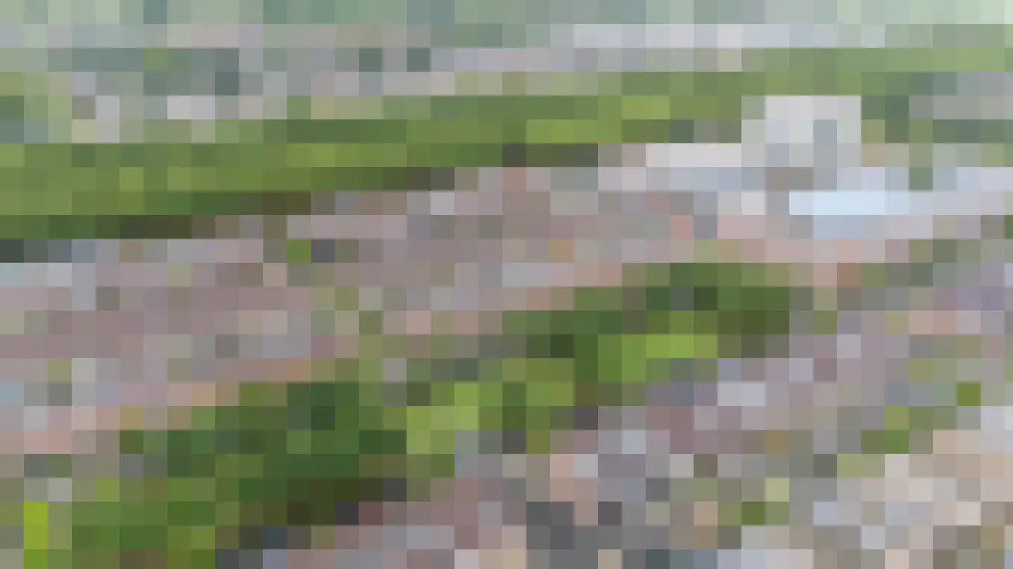 Rapijnenpolder 15 De Meern thumbnail 51