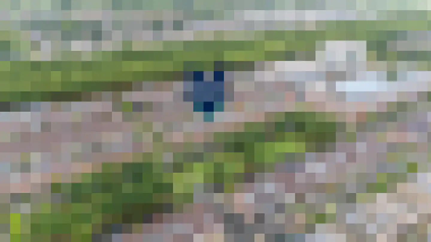 Rapijnenpolder 15 De Meern thumbnail 52