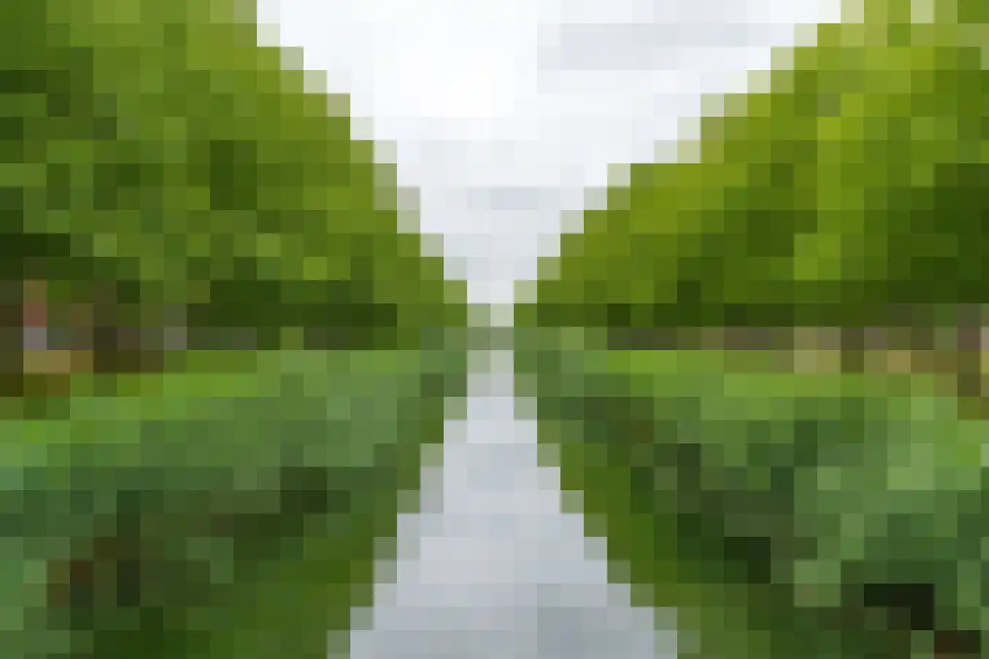 Rapijnenpolder 15 De Meern thumbnail 54