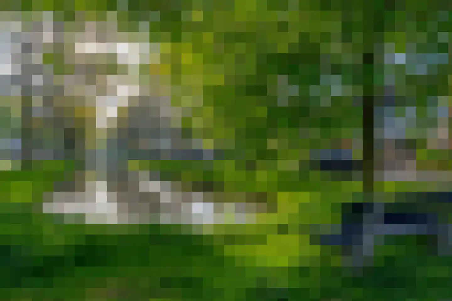 Rapijnenpolder 15 De Meern thumbnail 55