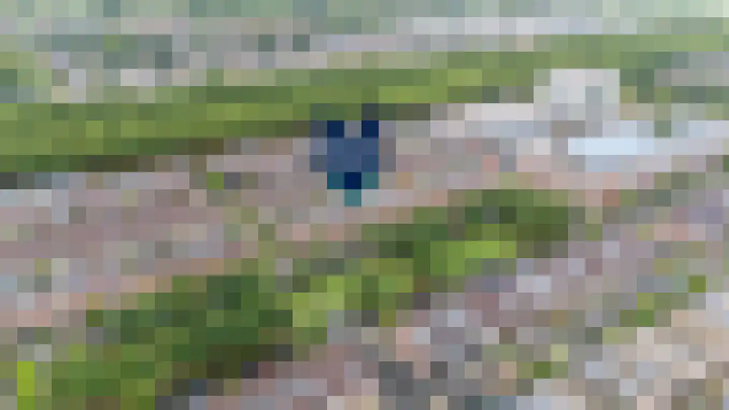 Rapijnenpolder 15 De Meern thumbnail 6