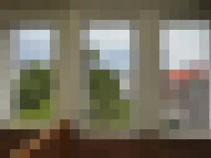 Rapijnenpolder 9 De Meern
