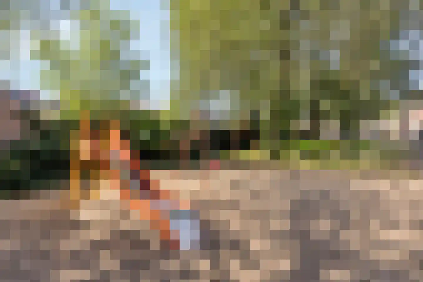 Rappardstraat 14 Arnhem thumbnail 30