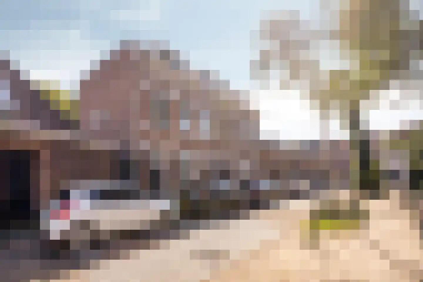 Rappardstraat 14 Arnhem thumbnail 34