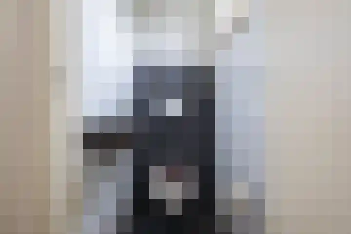 Rappersweg 11 Almelo thumbnail 10