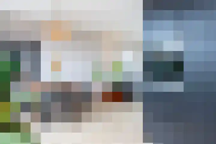 Rappersweg 25 Almelo thumbnail 16