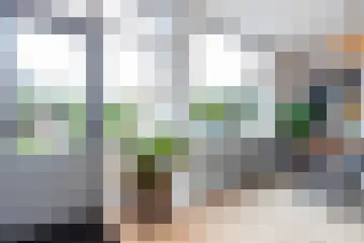 Rappersweg 25 Almelo thumbnail 17