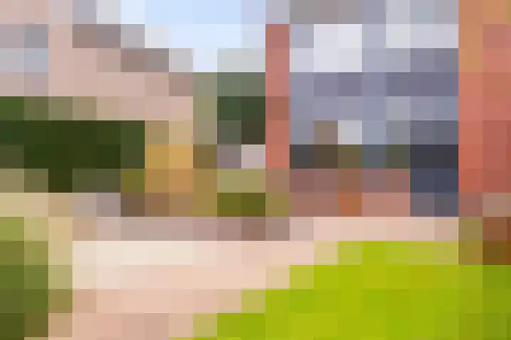 Rappersweg 25 Almelo thumbnail 19